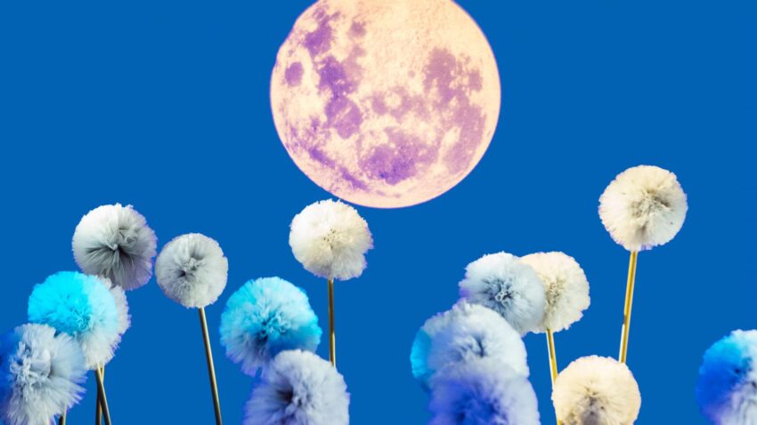 Fluffy, pom-pom-like objects in shades of blue and white stand on stems against a bright blue sky, as the full moon rises overhead—evoking the collaborative spirit of the Breathe Community.