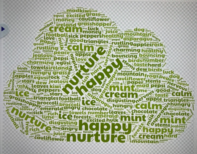 Kanes Hill Primary School - Hyena Class word cloud