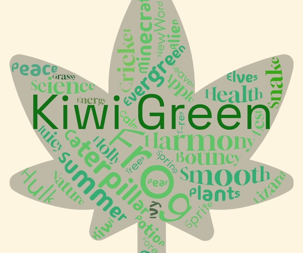 Newcroft Primary Academy - Class 3Lul word cloud