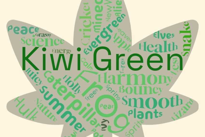 Newcroft Primary Academy - Class 3Lul word cloud