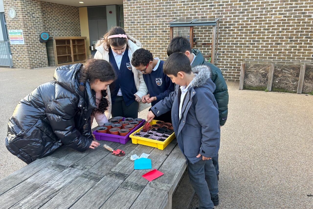 Marlborough Primary School 5B