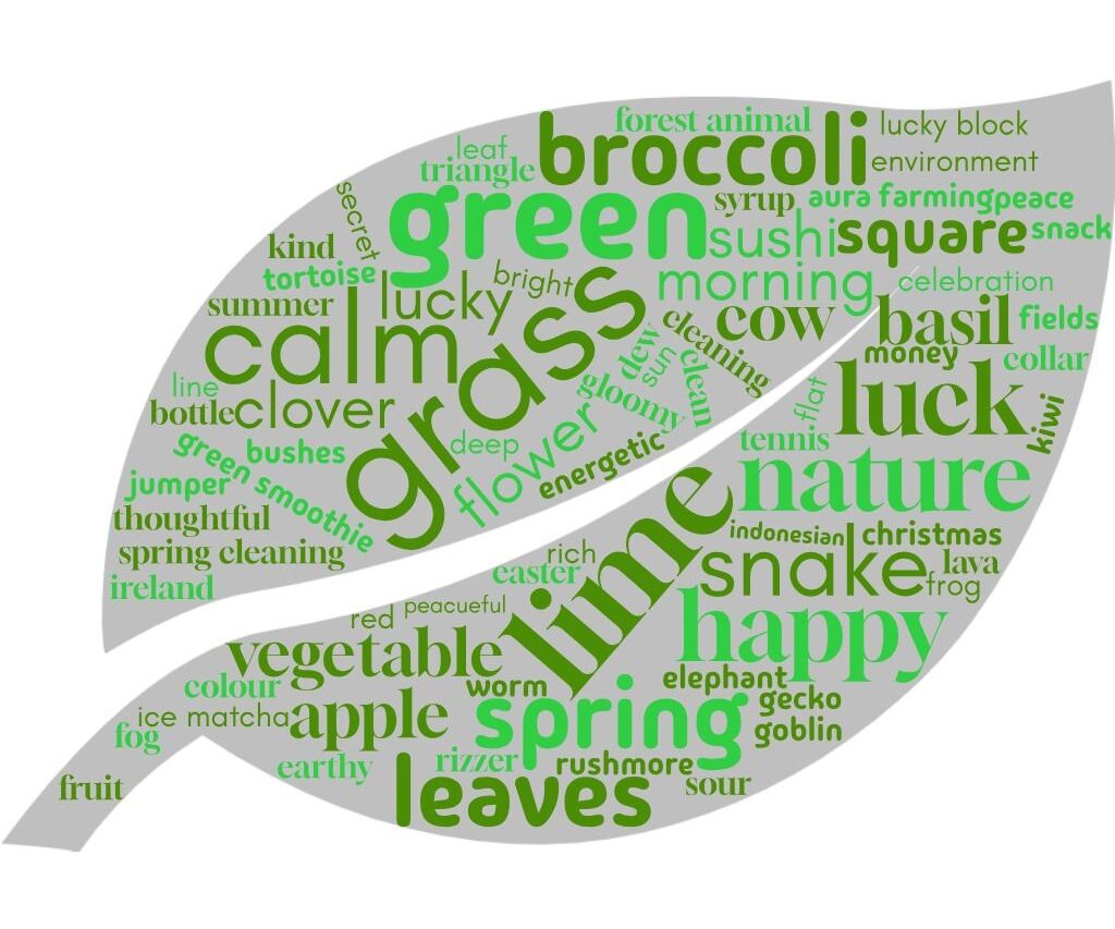 Rushmore Primary School - Hazel Class word bank