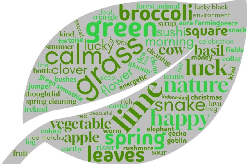 Rushmore Primary School - Hazel Class word bank
