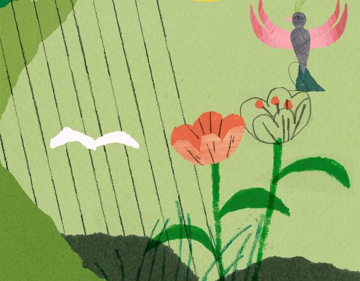 Leighton Middle School - Beech 6 Class