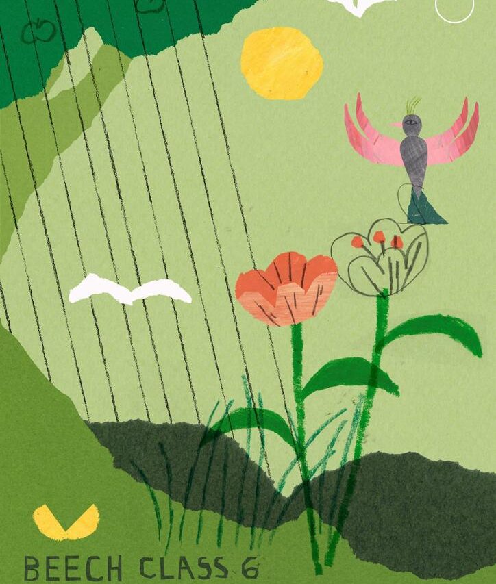 Leighton Middle School - Beech 6 Class