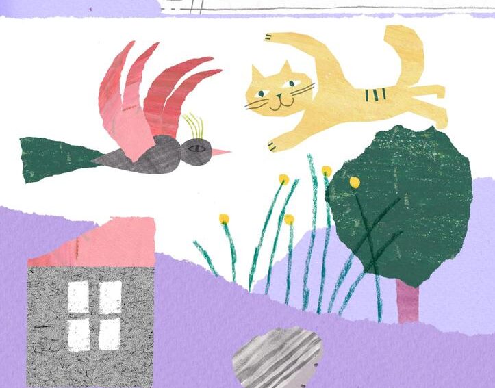 Hillborough Junior School - Class 12