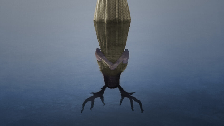 A person in a dress stands at the edge of calm water; their reflection reveals a stag’s antlers and head, evoking the surreal, dreamlike atmosphere.