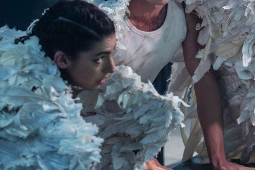 Two people dressed in white costumes with feather-like details crouch on the ground, looking intently ahead. The lighting is dramatic, with cool blue tones highlighting their expressive faces and costumes.