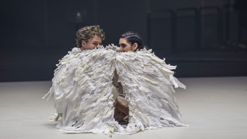 Two people crouch close together, wrapped in large, feathered, white costumes that resemble wings, on a pale, empty stage with a dark, blurred background.